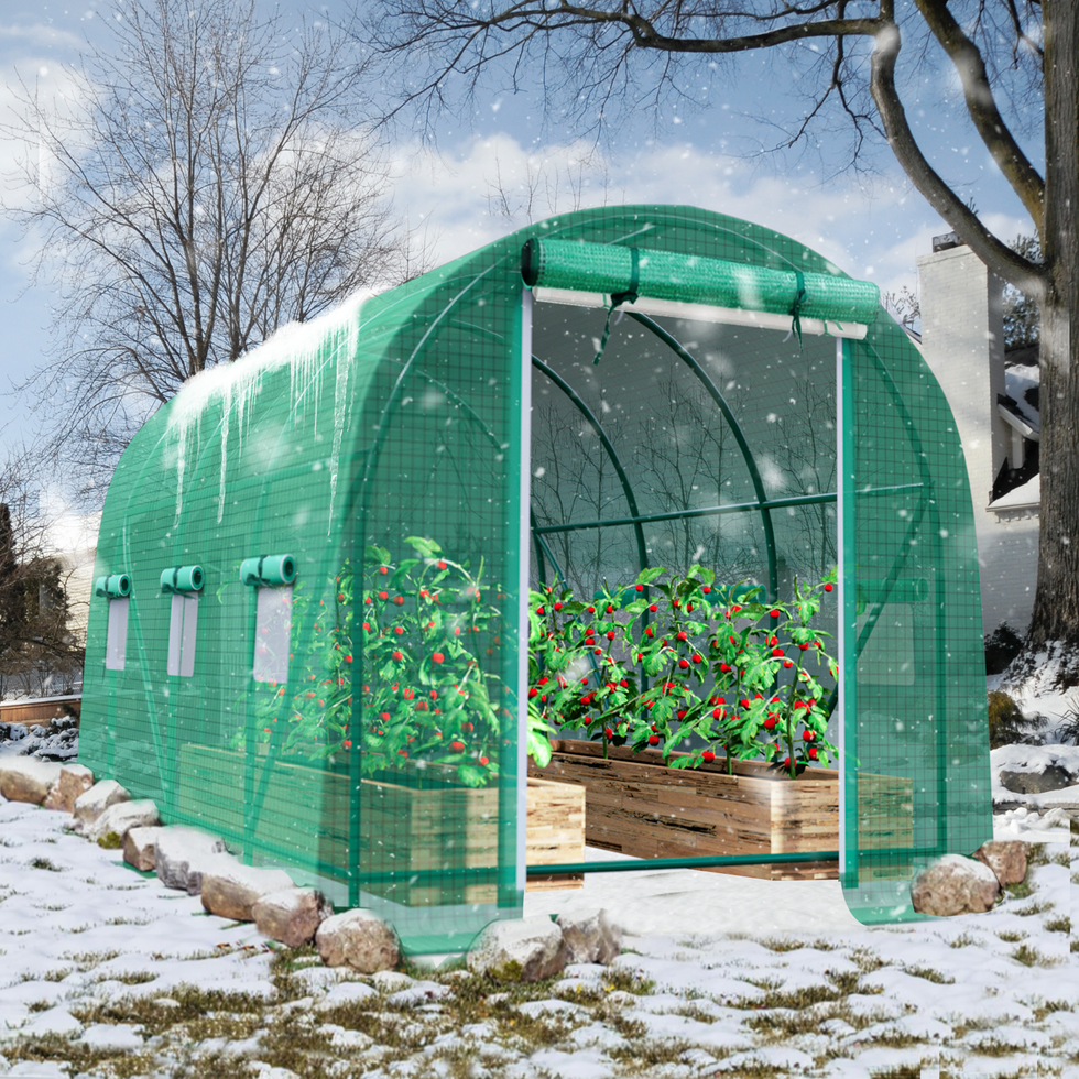TANGJEAMER Walk-in Greenhouse