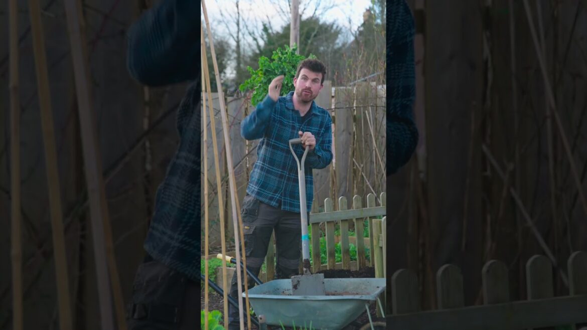 Exposed: Why Gardeners Often Come Across a Little Smug