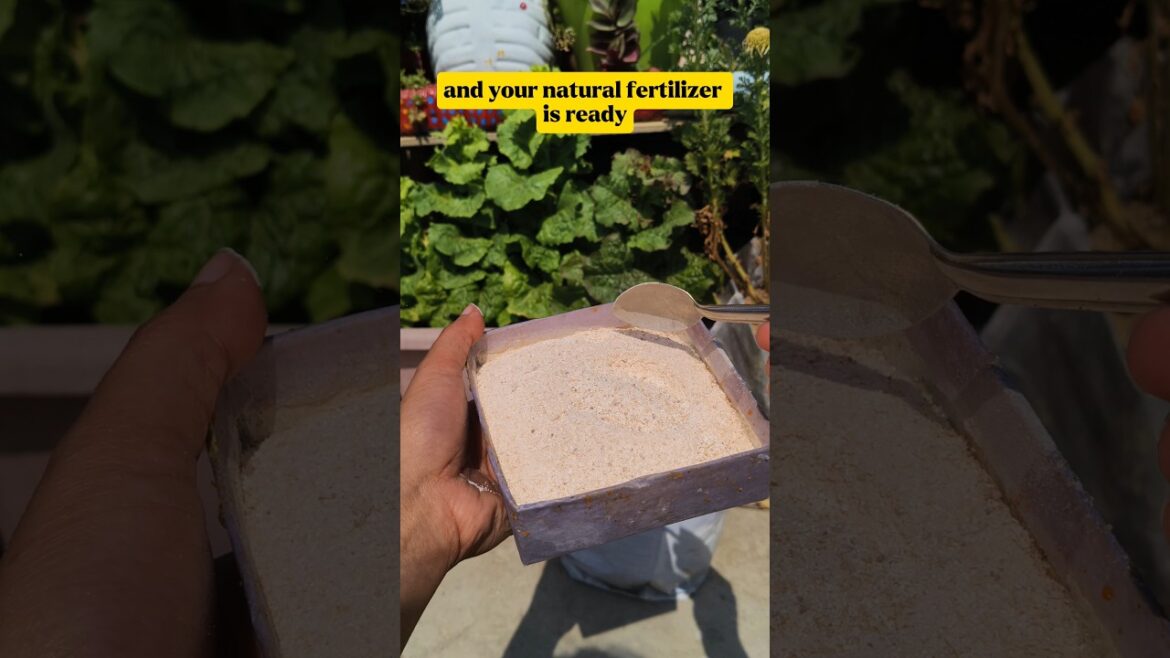 Kitchen waste to plant magic #shorts #youtube #gardening #shortsfeed #naturalfertilizer