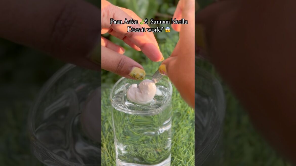 🤫Paan Leaf Plant Came Back to Life after using this Paste🌿✨#తమలపాకు 🤫Paan Leaf Plant Came Back to Life after using this Paste🌿✨#తమలపాకు