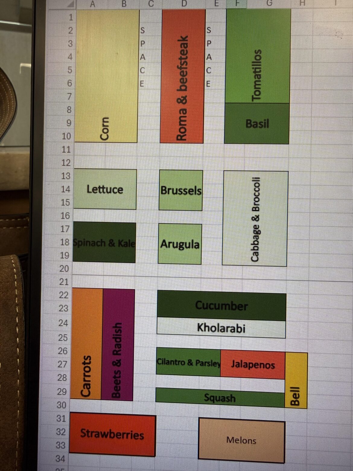 Thoughts on my plan?