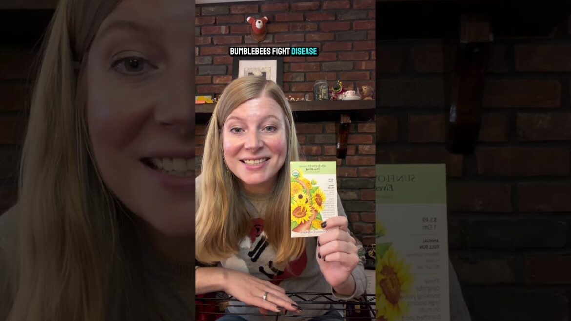 3 Must Have Pollinator Plants For Container Gardens Part 3