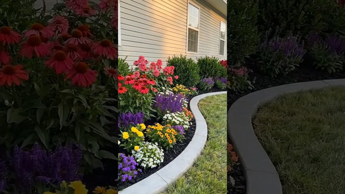 This Backyard Transformation Will Blow Your Mind 🤯