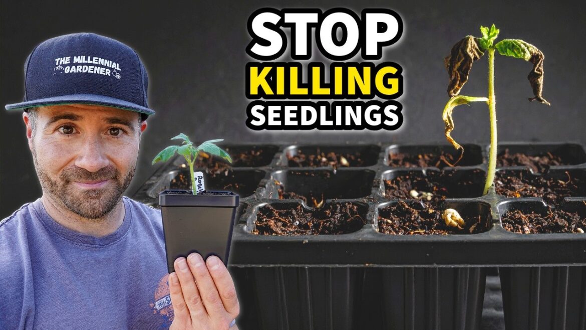 10 BIG MISTAKES Starting Seeds Indoors, And How To Fix Them!