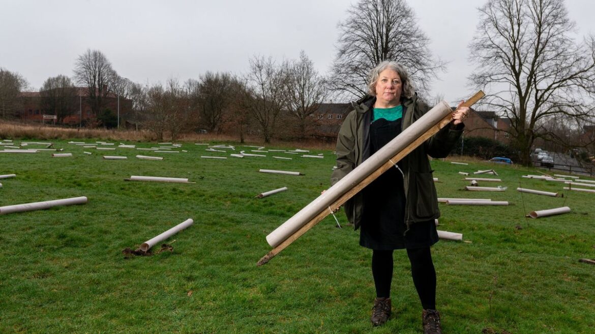 ‘Mindless vandals’ rip up scores of newly planted trees outside museum Lancs Live