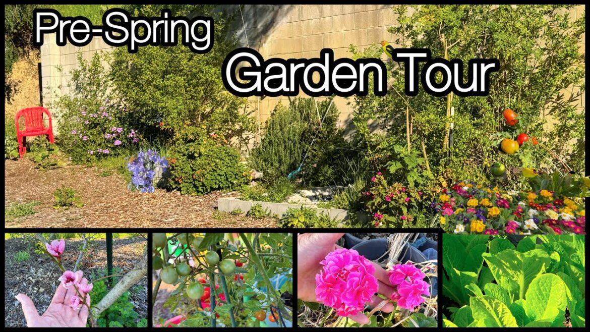 Garden Tour Growing TIPS for Any Type of Vegetable Gardening Tomatoes Peppers Herbs DIY FREE Compost Garden Tour Growing TIPS for Any Type of Vegetable Gardening Tomatoes Peppers Herbs DIY FREE Compost