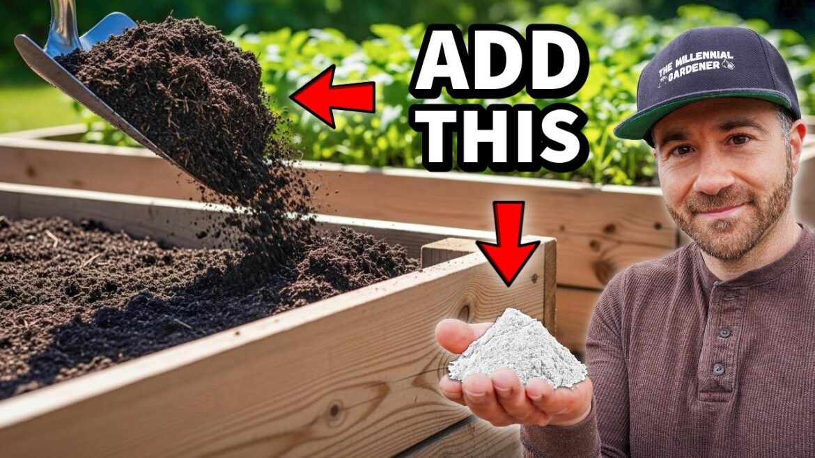 Add THIS To Your Soil NOW For EXTREME Production!