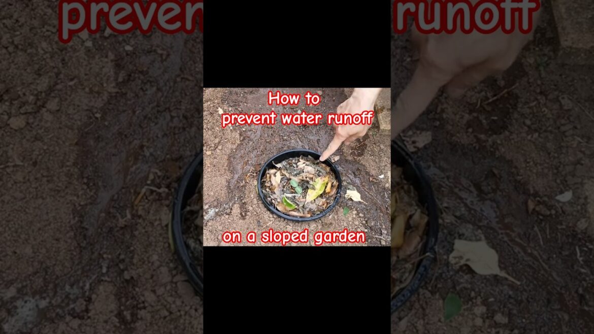 Garden tips 55 – How to prevent water runoff on a sloped garden #garden #gardening #gardeningtips Garden tips 55 - How to prevent water runoff on a sloped garden #garden #gardening #gardeningtips