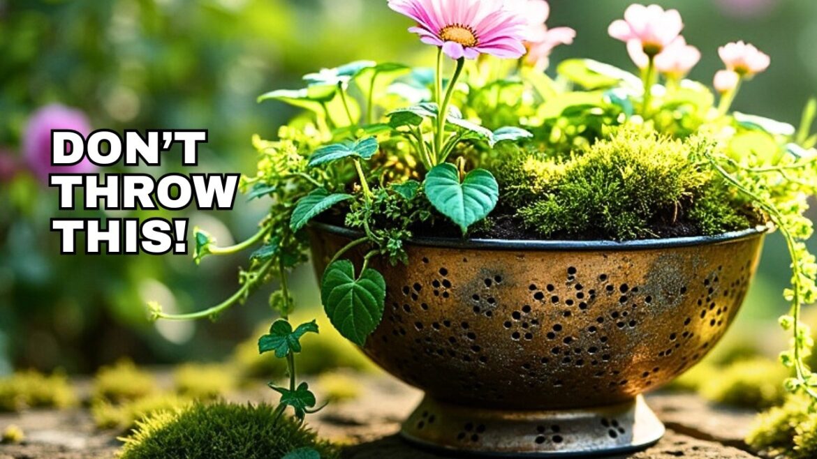 From Kitchen Junk to Garden Beauty | Genius Upcycled Decor Ideas