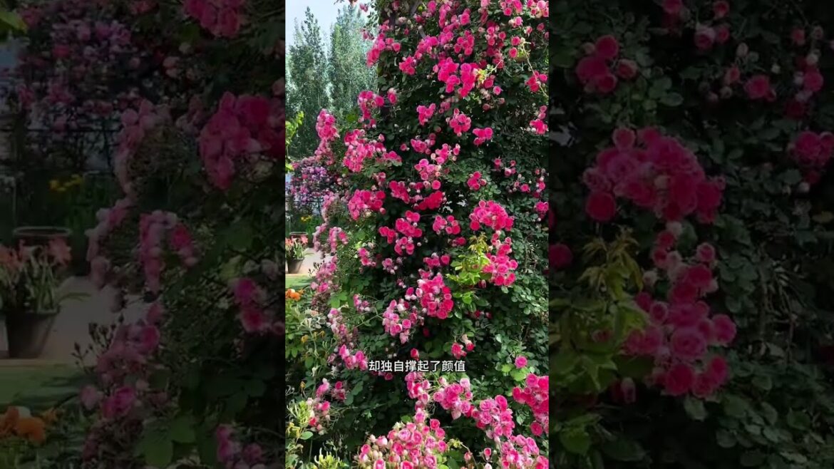 Transform Your Space with Rouge Ro Flower Walls, Arches, & Pots