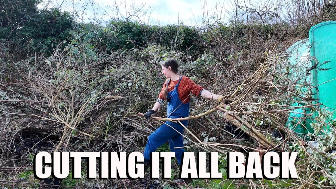 I Made a Huge Mess...