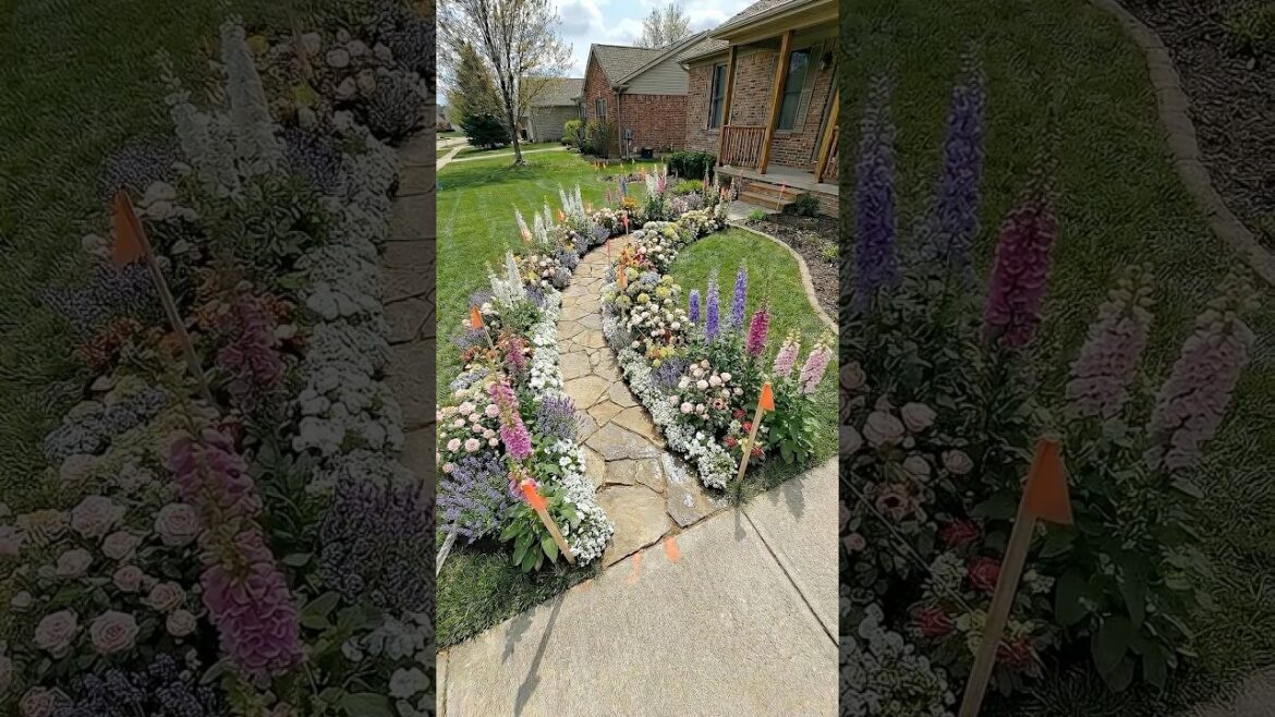 You won’t believe this wave-style flower path transformation #satisfying #curbappeal You won’t believe this wave-style flower path transformation #satisfying #curbappeal