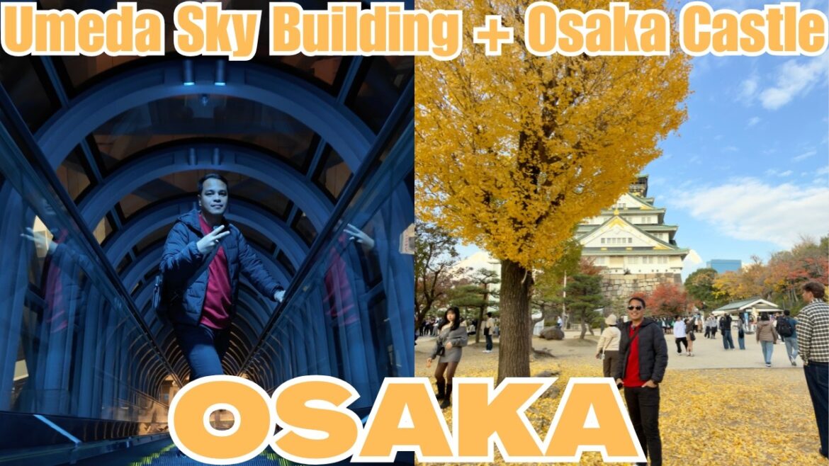 Breathtaking Autumn in Osaka | Exploring Osaka Castle and Umeda Sky Building