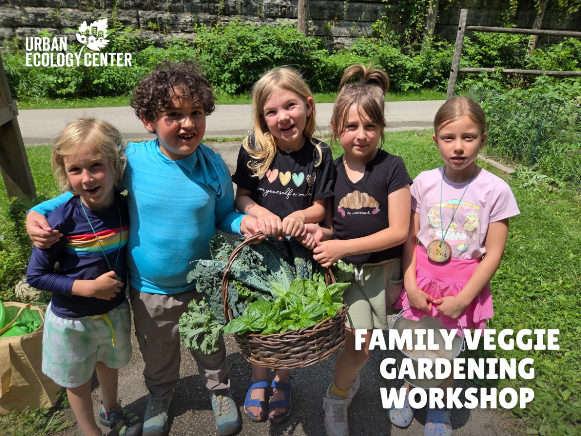 Post From Community: Family veggie gardening workshop