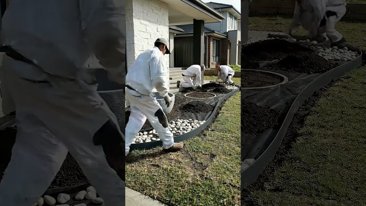 Front Yard Makeover with White Stones! π Satisfying Landscaping Transformation Front Yard Makeover with White Stones! π Satisfying Landscaping Transformation