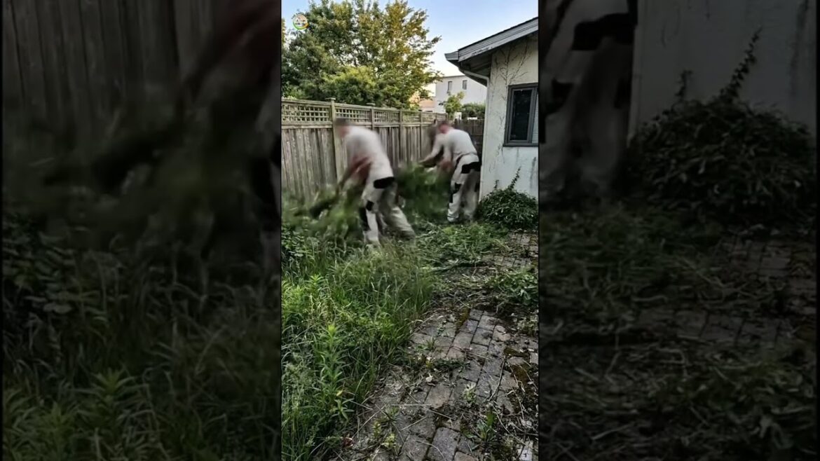 These Backyard Glow-Ups Are Unreal ๐ฎ These Backyard Glow-Ups Are Unreal ๐ฎ