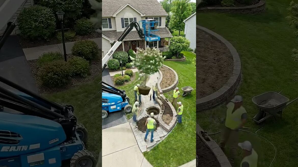 You won’t believe this yard becomes a romantic floral dream #garden #makeover You won’t believe this yard becomes a romantic floral dream #garden #makeover