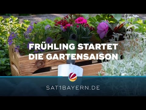 Gartensaison gestartet: Diese Pflanzen sind jetzt im Trend Gartensaison gestartet: Diese Pflanzen sind jetzt im Trend