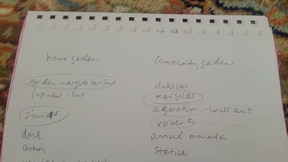 Home garden vs community garden plans