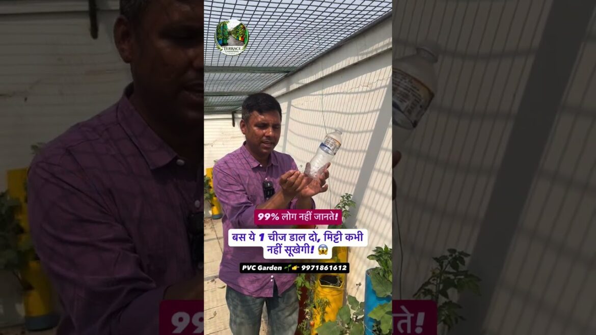 मिट्टी जल्दी नहीं सूखेगी! Soil + Water + PVC Pipe का जुगाड़ पौधों को लंबे समय तक नमी देता है। मिट्टी जल्दी नहीं सूखेगी! Soil + Water + PVC Pipe का जुगाड़ पौधों को लंबे समय तक नमी देता है।