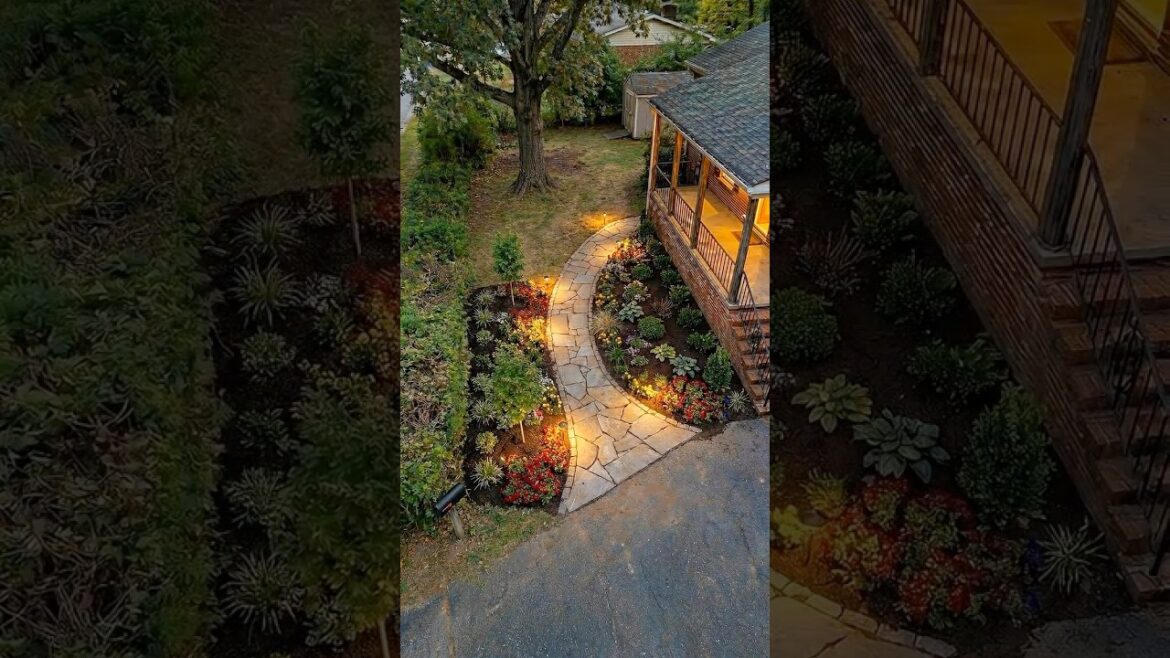 From Straight Lawn to Curved Suburban Walkway Garden #garden #reels #satisfying