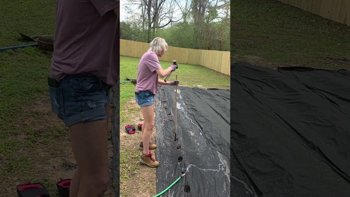 Surprised Wife Caught Giving Garden Tips! 😂 #gardening #husbandwife #garden Surprised Wife Caught Giving Garden Tips! 😂 #gardening #husbandwife #garden
