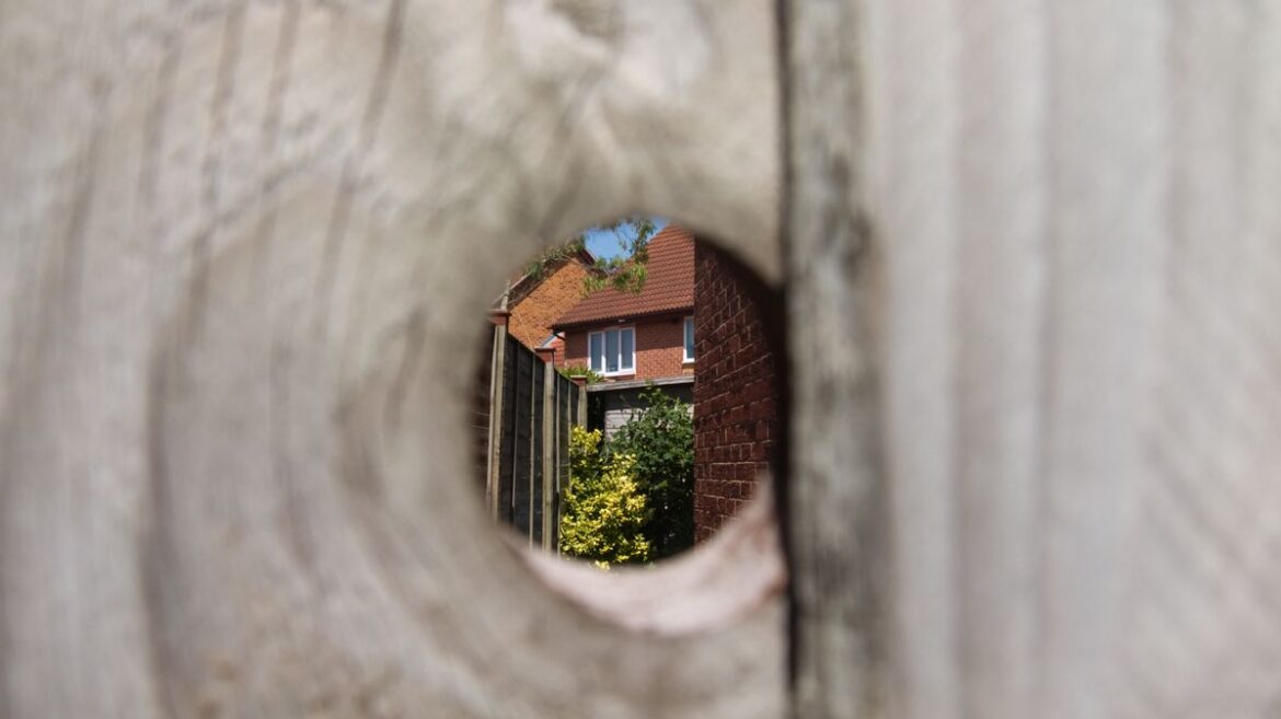 UK households with gardens urged to cut holes in fences before spring Manchester Evening News