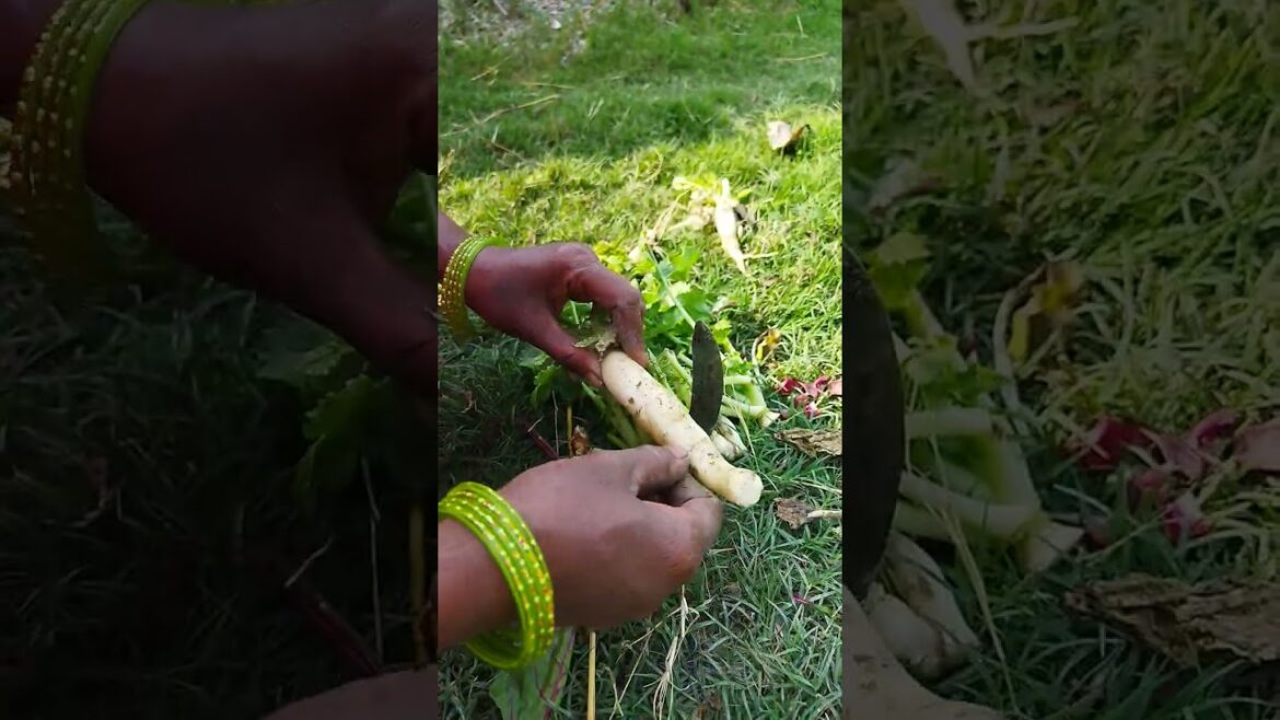 vegetable from kitchen garden #shorts #viral #garden #gardening