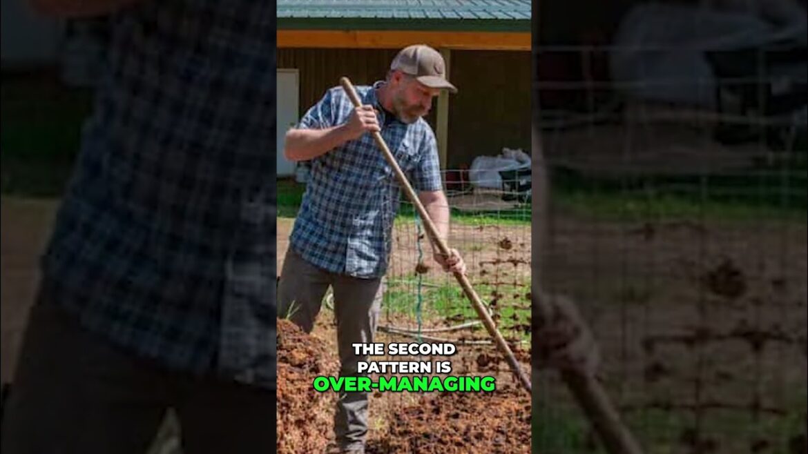 Amish Composting Secrets  Garden Like Never Before! #gardening #farming #raisedgardenbeds