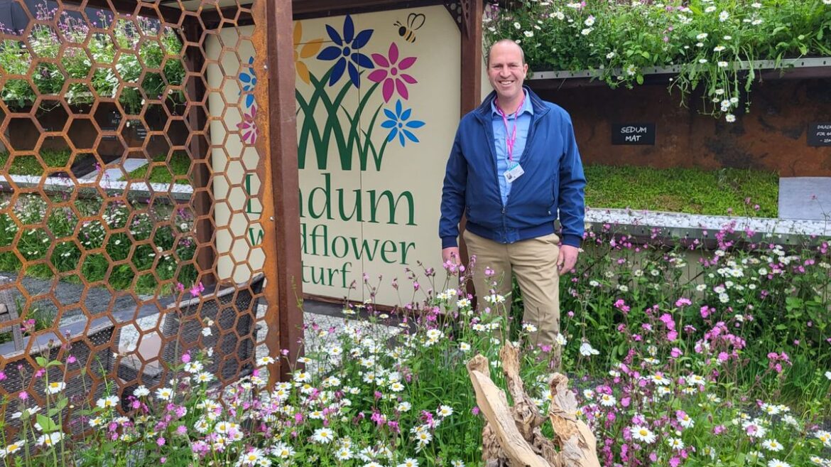 Expert gardener Peter Dowdall shares the biggest mistake homeowners make that costs thousands RSVP Live