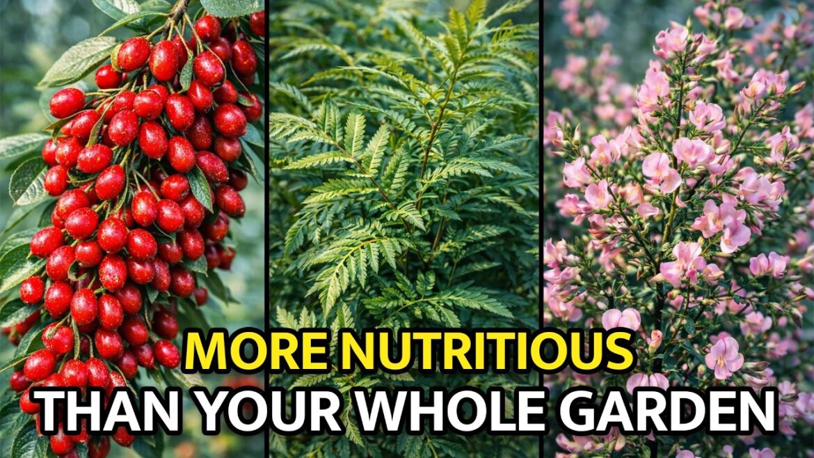 8 Bushes That Outperform Every Vegetable In Your Garden 8 Bushes That Outperform Every Vegetable In Your Garden