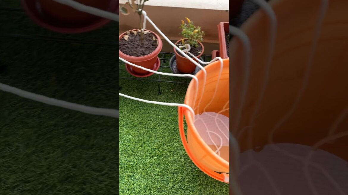 🪴 Self watering wick rope 😎 for plants when you go on vacation 🤩 Amazon finds #plants #shorts