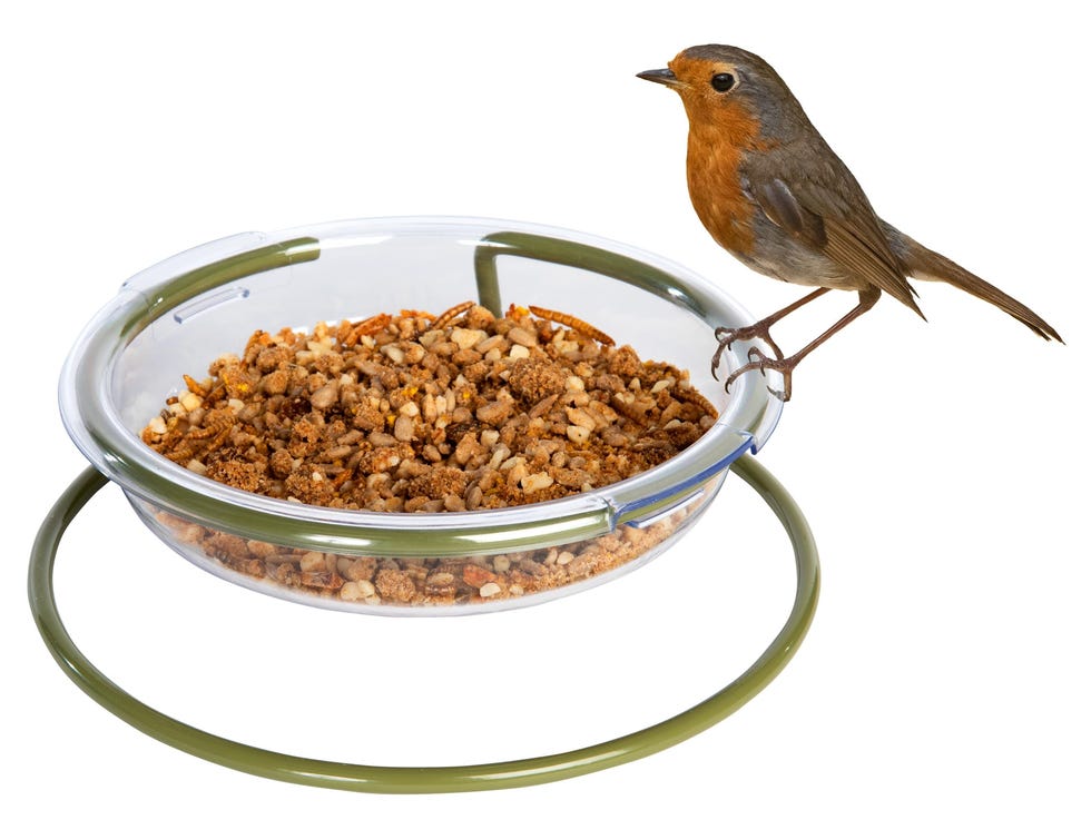 Garden Feeder Tray - Mealworm And Robin Bird Feeder