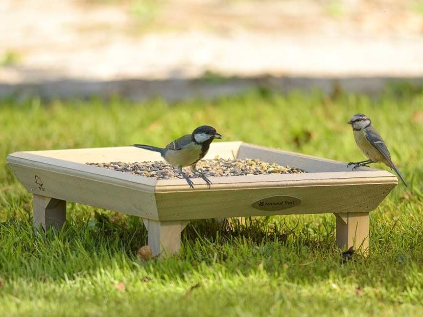 National Trust Bird Ground Feeding Table