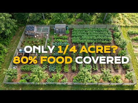 How 1/4 Acre Can Cover 80% of Your Food Needs How 1/4 Acre Can Cover 80% of Your Food Needs
