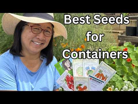 Best Seeds for Container Gardening -“Beginner Picks” Best Seeds for Container Gardening -"Beginner Picks"