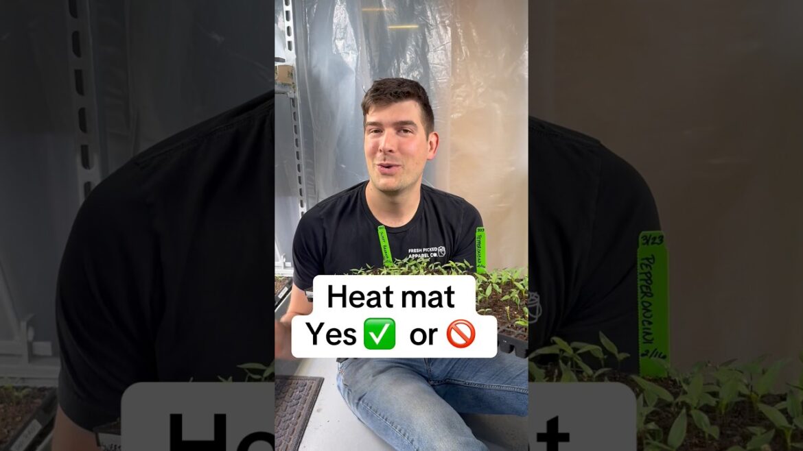 When and When Not Use a Heat Mat! #gardening #garden #gardeningtips