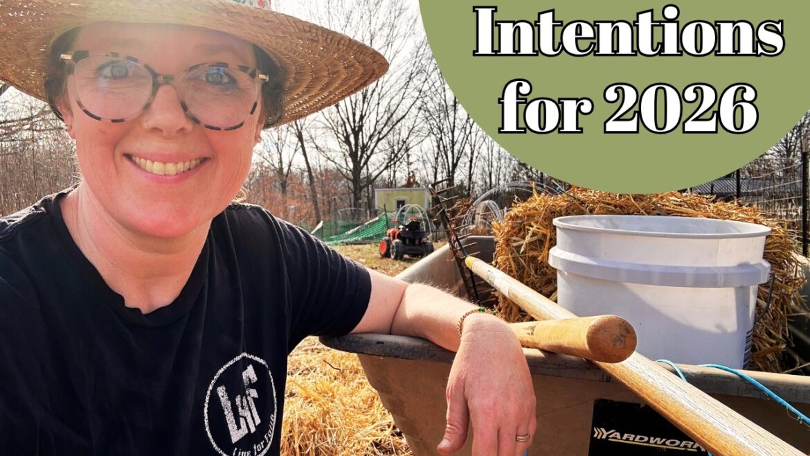 Garden Season 2026 Building Intentional Plans This Year Garden Season 2026 Building Intentional Plans This Year