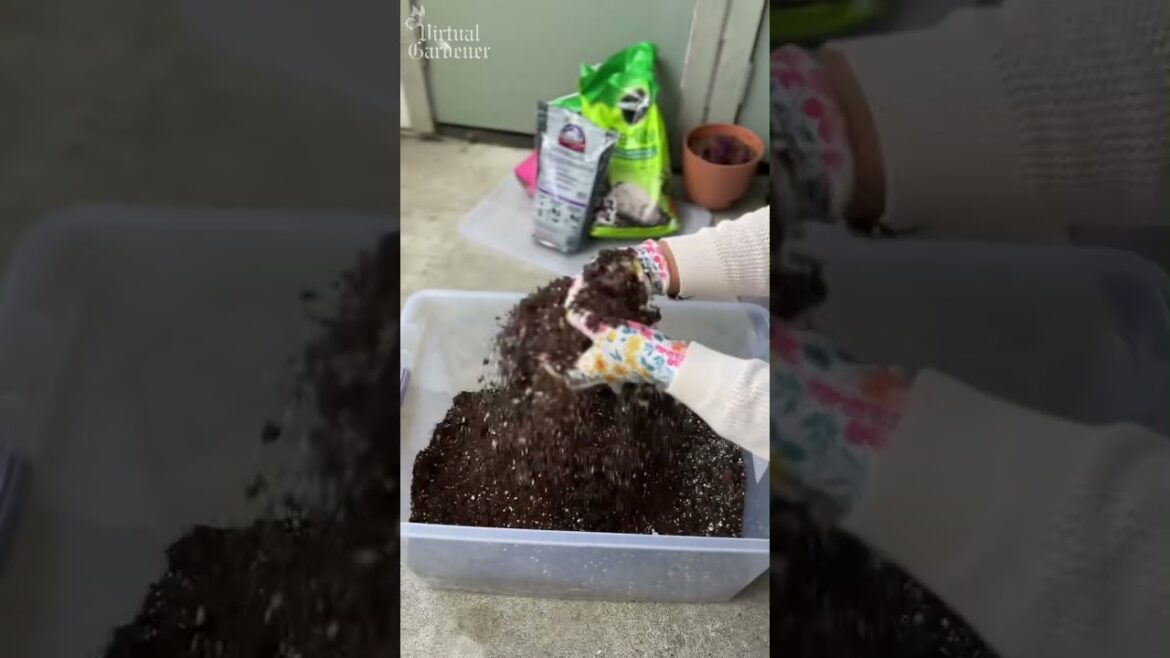 These Things You NEED to Know for Your Plants Most People Don’t These Things You NEED to Know for Your Plants Most People Don’t