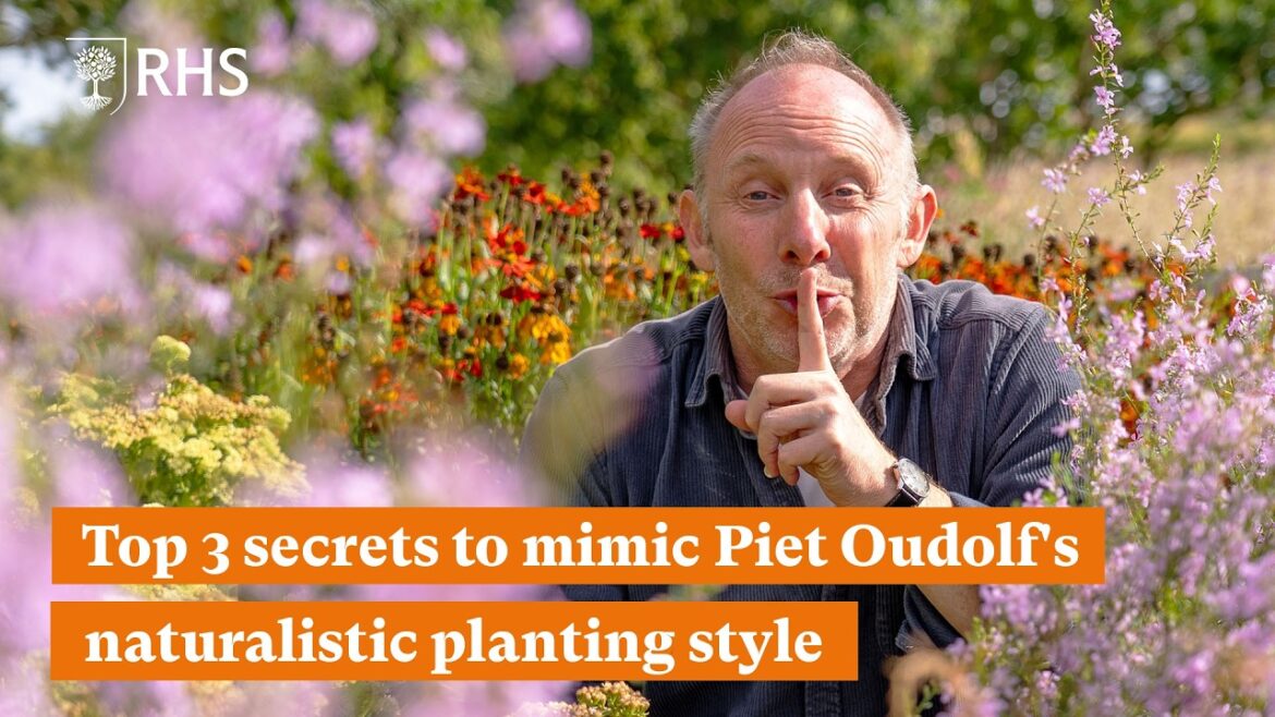 Top 3 secrets to mimic Piet Oudolf’s naturalistic planting style | The RHS Top 3 secrets to mimic Piet Oudolf's naturalistic planting style | The RHS