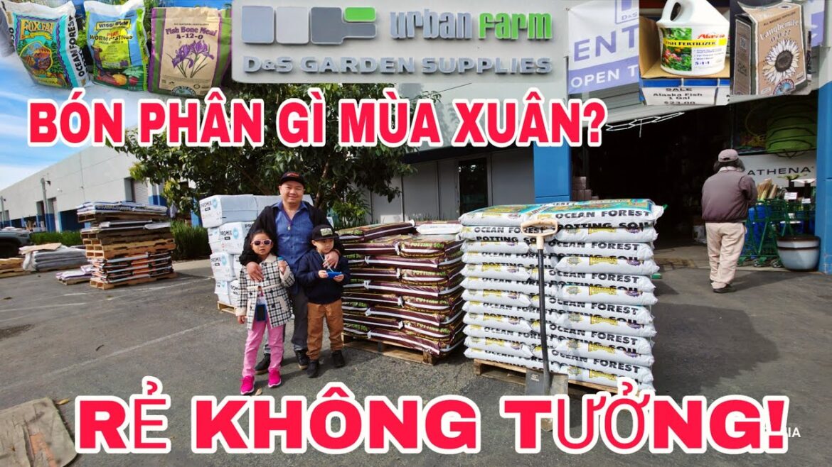 D&S Garden Supplies: Phân Đất Quá Rẻ! Cách Bón Này Giúp Cây Phát Triển Cực Tốt D&S Garden Supplies: Phân Đất Quá Rẻ! Cách Bón Này Giúp Cây Phát Triển Cực Tốt