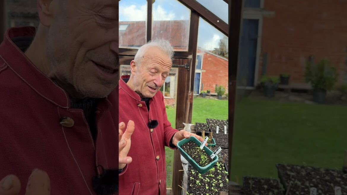 What to Sow in March | Hardy Vegetable Seeds to Start Now