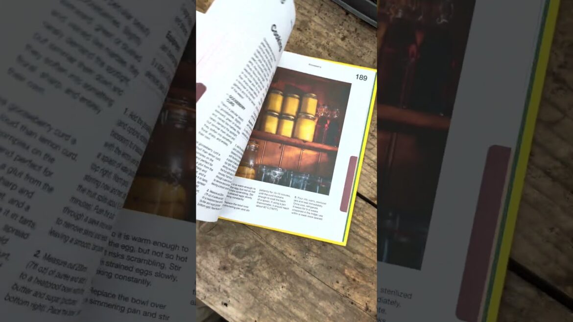 Look Inside My New Book!