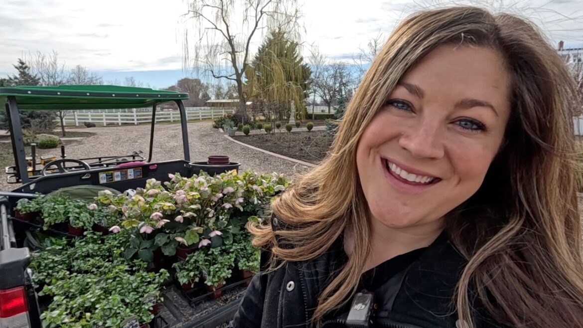 Garden Answer: Snowdrop Tour, Planting Under the Leyland cypress & Flower Bed Clean Up! 🌿🌸✂️ // Garden Answer Snowdrop Tour, Planting Under the Leyland cypress & Flower Bed Clean Up! 🌿🌸✂️ // Garden Answer