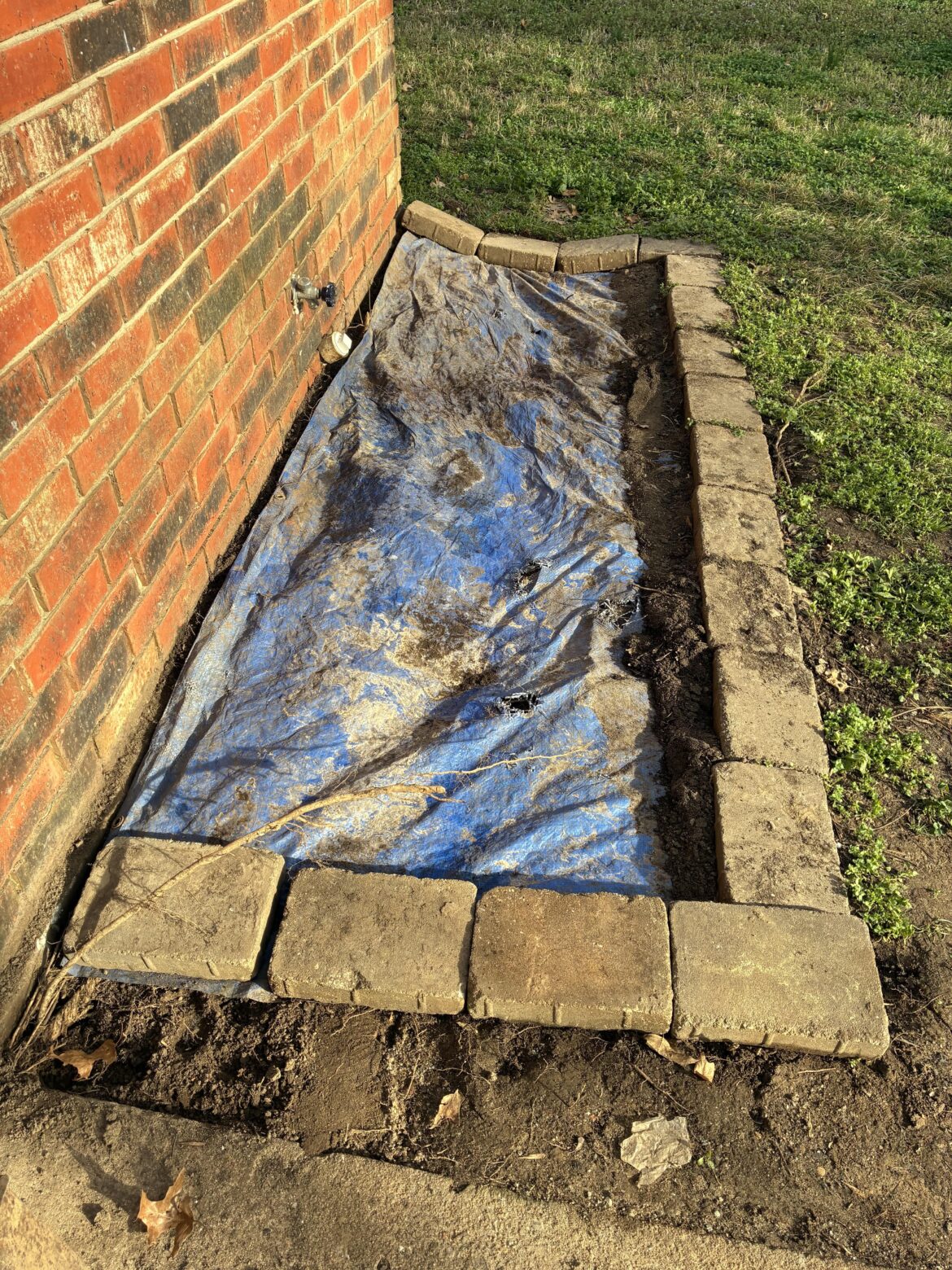 Can I add finely shredded cardboard to garden to increase worm population? Can I add finely shredded cardboard to garden to increase worm population?