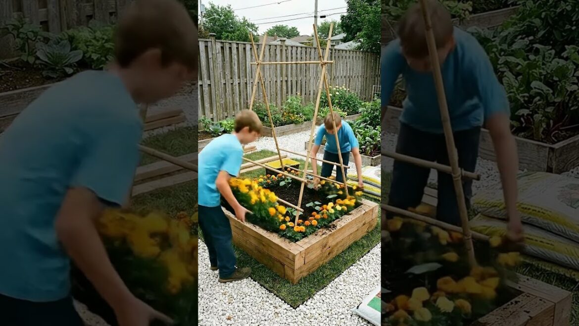 Family Garden Project: Building a Raised Bed & Harvesting Cucumbers 🥒 Family Garden Project: Building a Raised Bed & Harvesting Cucumbers 🥒