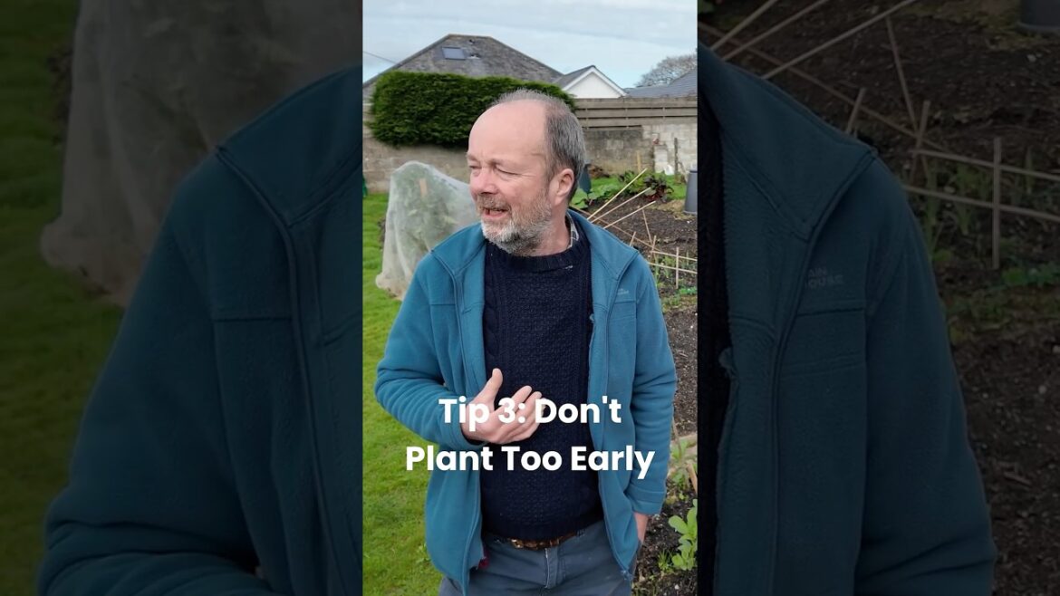 101 Gardening Tips | Tip 3: Don't Plant Too Early