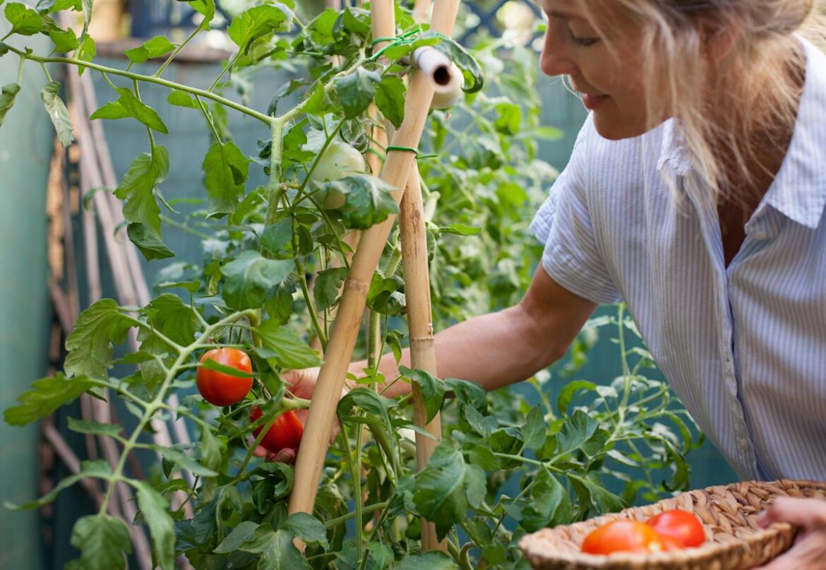 Everything you need for the garden of your dreams is on sale right now AOL