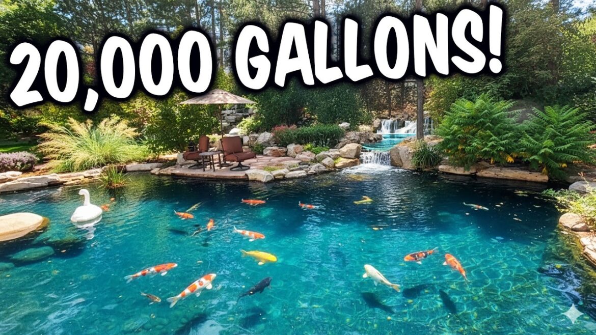 This Backyard Water Garden Estate Is INSANE (20,000 Gallons + Gemstones!)