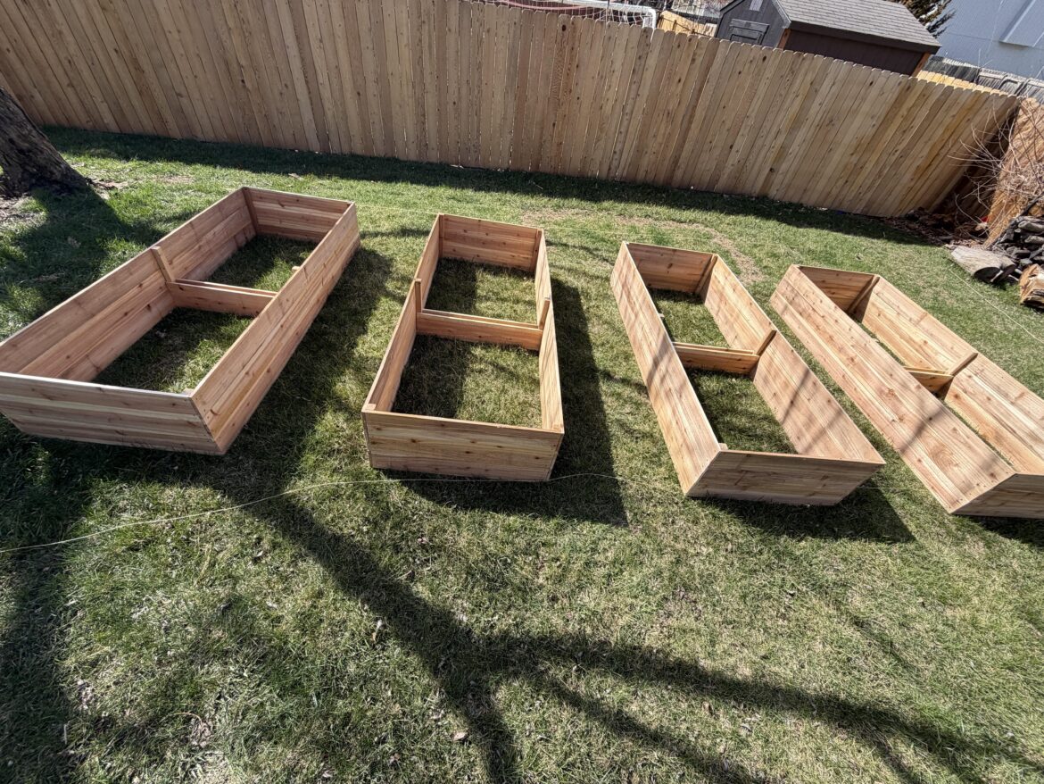 Keeping grass between garden beds?